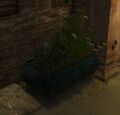 Thumbnail for version as of 10:34, 29 February 2016
