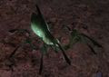 Thumbnail for version as of 22:46, 22 May 2016