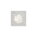 Thumbnail for version as of 17:50, 28 February 2022