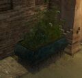 Thumbnail for version as of 09:37, 10 November 2016
