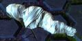 Thumbnail for version as of 08:53, 27 January 2017