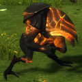 Thumbnail for version as of 09:08, 28 October 2013