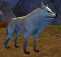 Thumbnail for version as of 20:44, 4 January 2014