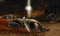 Thumbnail for version as of 13:33, 6 June 2015