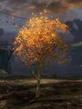 Thumbnail for version as of 10:32, 18 October 2017