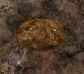 Thumbnail for version as of 04:54, 1 September 2024