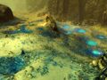 Thumbnail for version as of 17:55, 26 October 2017
