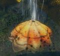 Thumbnail for version as of 06:55, 21 July 2016