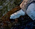 Thumbnail for version as of 03:05, 7 March 2013