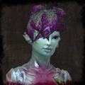 Thumbnail for version as of 13:16, 24 December 2013