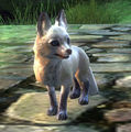 Thumbnail for version as of 13:31, 13 March 2014