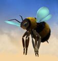 Thumbnail for version as of 06:16, 23 July 2025