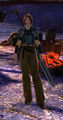 Thumbnail for version as of 15:19, 29 April 2013