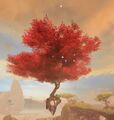 Thumbnail for version as of 19:25, 13 November 2025