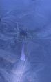 Thumbnail for version as of 05:22, 21 May 2016