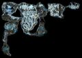 Thumbnail for version as of 22:28, 26 June 2013