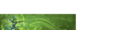 Thumbnail for version as of 03:20, 20 August 2025