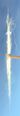 Thumbnail for version as of 05:35, 29 January 2025