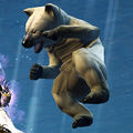 Thumbnail for version as of 22:56, 8 September 2014