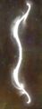Thumbnail for version as of 01:19, 13 August 2014