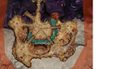 Thumbnail for version as of 23:04, 12 February 2021