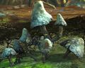 Thumbnail for version as of 20:33, 5 March 2016