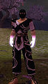 Thumbnail for version as of 18:34, 10 November 2010