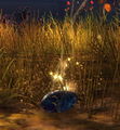 Thumbnail for version as of 07:22, 16 May 2013