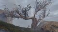 Thumbnail for version as of 03:16, 21 September 2020