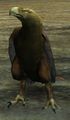 Thumbnail for version as of 07:18, 16 January 2013