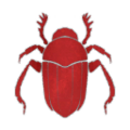 Thumbnail for version as of 14:13, 11 December 2017