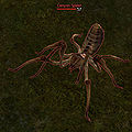 Thumbnail for version as of 15:22, 5 September 2012