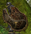 Thumbnail for version as of 02:46, 4 January 2014