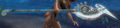 Thumbnail for version as of 09:59, 12 February 2014