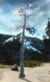 Thumbnail for version as of 21:17, 14 August 2021