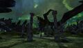 Thumbnail for version as of 10:58, 19 February 2022