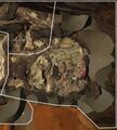 Thumbnail for version as of 15:34, 11 June 2016