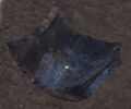 Thumbnail for version as of 23:13, 9 January 2026