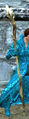 Thumbnail for version as of 01:37, 28 December 2013