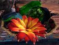 Thumbnail for version as of 22:34, 12 August 2017