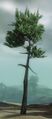 Thumbnail for version as of 13:18, 13 September 2012