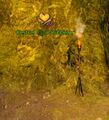 Thumbnail for version as of 23:11, 3 March 2022