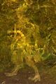 Thumbnail for version as of 05:22, 8 September 2025