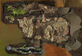 Thumbnail for version as of 21:30, 16 July 2014