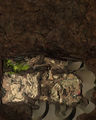 Thumbnail for version as of 01:07, 13 August 2014
