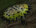 Thumbnail for version as of 09:22, 19 September 2016