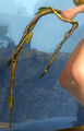 Thumbnail for version as of 08:28, 11 February 2014