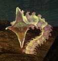 Thumbnail for version as of 07:11, 20 November 2012