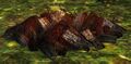 Thumbnail for version as of 01:11, 27 March 2015