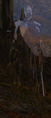 Thumbnail for version as of 23:07, 27 January 2014